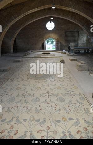 Ältestes Bodenmosaik auf der Apostelkirche in Madaba in Jordanien Stockfoto