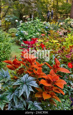 USA, Bundesstaat Washington, Sammamish. Garten in voller Blüte. Stockfoto