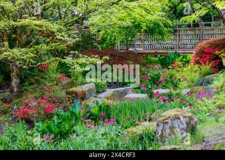 USA, Washington State, Bellevue, Bellevue Botanical Garden und Japanischer Garten Stockfoto