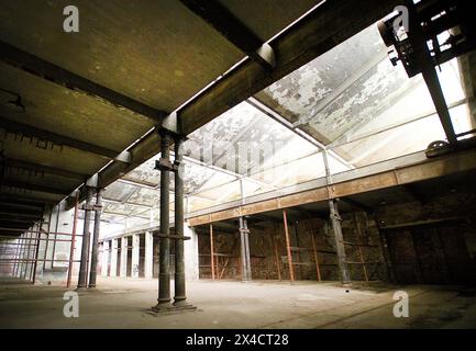 Hartmannhalle Chemnitz - ein Denkmal der Industriegeschichte ein stilles Denkmal der Chemnitzer Industriegeschichte Foto von 2004 ist wieder mit Leben erfüllt. Mit Beginn des Kultuhauptstadtjahres am 18. Januar 2025 wird hier das neue Besuchs- und Informationszentrum für Gäste die Türen öffnen. Die zentrumsnahe Hartmannhalle gehörte einst zu dem Iindustrieareal der Hartmann Werke, die von einer Schlosserwerkstatt mit drei Gehilfen sich zu einem der wichtigsten sächsischen Maschinenbaubetriebe mit 3000 Mitrarbeitern entwickelt. 1848 wurde die erste Lokomotive aus den Hartmannwerken gefahren, z Stockfoto