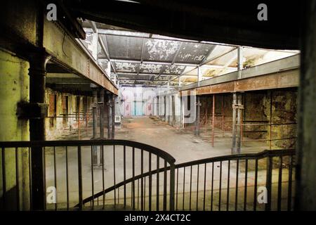 Hartmannhalle Chemnitz - ein Denkmal der Industriegeschichte ein stilles Denkmal der Chemnitzer Industriegeschichte Foto von 2004 ist wieder mit Leben erfüllt. Mit Beginn des Kultuhauptstadtjahres am 18. Januar 2025 wird hier das neue Besuchs- und Informationszentrum für Gäste die Türen öffnen. Die zentrumsnahe Hartmannhalle gehörte einst zu dem Iindustrieareal der Hartmann Werke, die von einer Schlosserwerkstatt mit drei Gehilfen sich zu einem der wichtigsten sächsischen Maschinenbaubetriebe mit 3000 Mitrarbeitern entwickelt. 1848 wurde die erste Lokomotive aus den Hartmannwerken gefahren, z Stockfoto