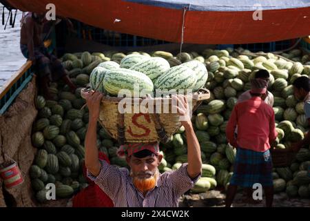 Dhaka, Dhaka, Bangladesch. Mai 2024. Arbeiter entladen Wassermelonen von Booten in Sadarghat in Dhaka. Im südlichen Bangladesch werden Wassermelonensamen im November-Dezember ausgesät und von März bis Mai vermarktet. Diese Wassermelonen werden per Boot zum Verkauf ins Land geschickt. (Kreditbild: © Syed Mahabubul Kader/ZUMA Press Wire) NUR REDAKTIONELLE VERWENDUNG! Nicht für kommerzielle ZWECKE! Stockfoto