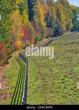 USA, Washington State, Kittitas County. Das Feld wurde im Frühherbst mit einem Zaun gesäumt. Stockfoto