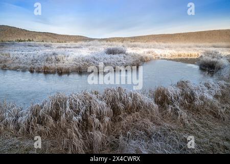 USA, West Virginia, Canaan Valley State Park. Sonnenaufgang auf frostiger Winterlandschaft mit eisigem Bach. Stockfoto