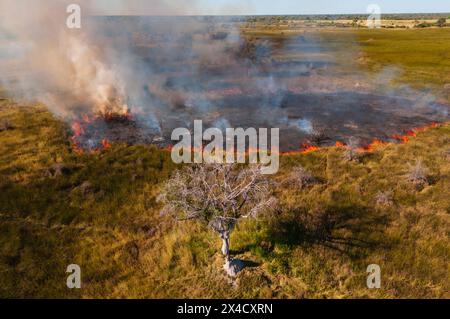 Luftaufnahme von einem Buschfeuer im Okavango Delta, Botswana. Stockfoto