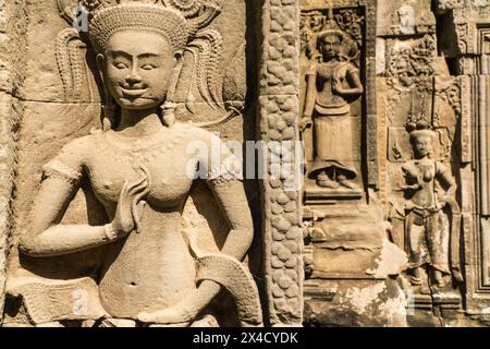 Aspera in Chau sagen Tevoda, Angkor, Kambodscha Stockfoto