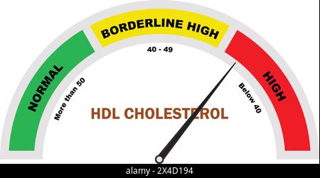 HDL-Cholesterin hoher Wert, hoher Cholesterintest, HDL-Cholesterintest, Cholesterinmessgerät Symbol, medizinisches Diagnosetool Stock Vektor