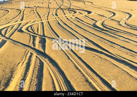 Faiyum Oasis, Ägypten. Reifenspuren im Wüstensand. Stockfoto