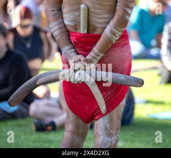 Die menschliche Hand hält rituelle Klappern für den Willkommensritus bei einer indigenen Gemeinde in Australien Stockfoto