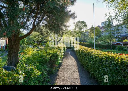 Ein Fußweg zwischen den Büschen Stockfoto