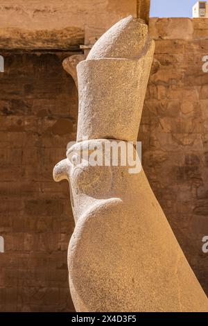 Edfu, Assuan, Ägypten. Statue des Falkengottes Horus im Tempel des Horus. Stockfoto