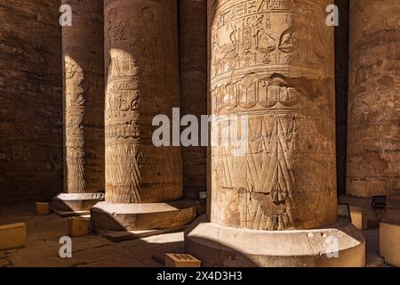 Edfu, Assuan, Ägypten. Säulen im Tempel des Horus. Stockfoto