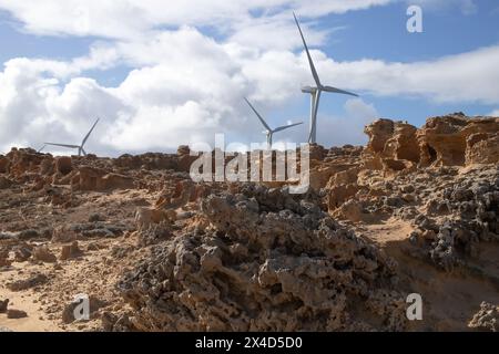 Windturbinen vor dem Hintergrund einer natürlichen felsigen Landschaft, Treppen und Himmel. Versteinerter Wald an der Küste von Cape Bridgewater, Stockfoto