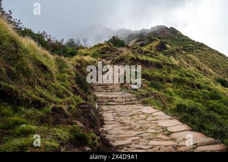 Nepal, Mardi Himal Trek Pfad in der Region Annapurna Stockfoto