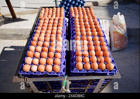 Dutzende Eierkartons stapelten sich hoch auf einer Fes-Straße, die obersten Schichten tauchten in Sonnenlicht und ließen die Eierschalen glänzen. Stockfoto