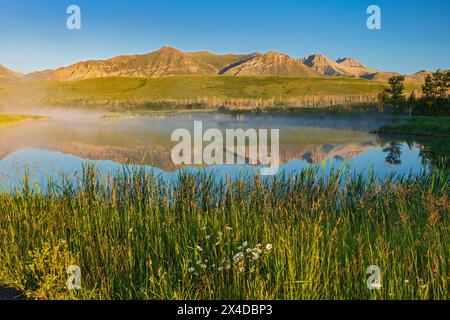 Kanada, Alberta, Waterton Lakes National Park. Rocky Mountains spiegeln sich bei Sonnenaufgang im Lower Waterton Lake. Stockfoto