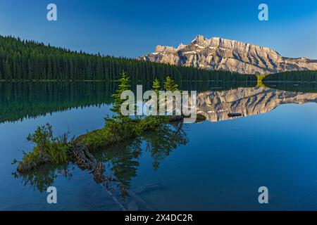 Kanada, Alberta, Banff National Park. Mt. Rundle spiegelte sich bei Sonnenaufgang in Two Jack Lake. Stockfoto