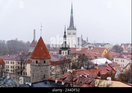 Blick über Tallinn, Estland Stockfoto