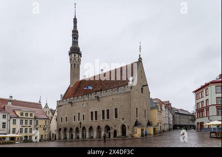 Rathaus in Tallinn, Tallinn, Estland Stockfoto