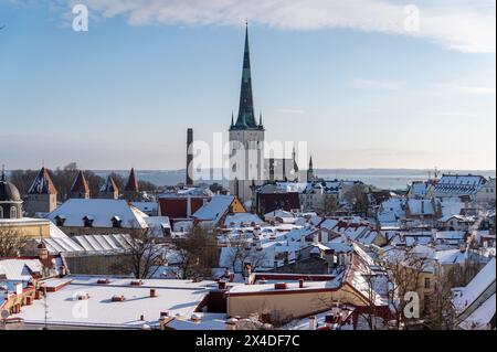 Blick auf die Altstadt, Tallinn, Estland Stockfoto