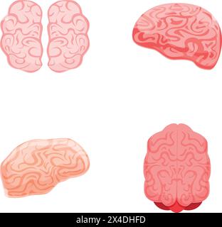 Gehirnsymbole setzen Cartoon-Vektor. Linke und rechte Hemisphäre des menschlichen Gehirns. Physiologie, Neurobiologie Stock Vektor