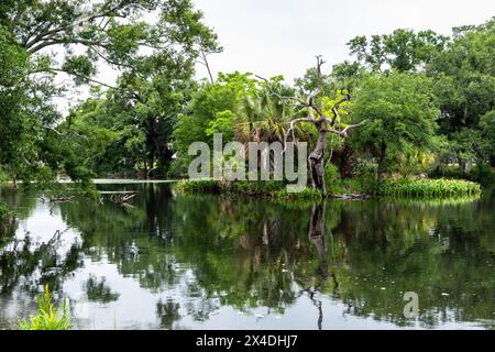 New Orleans City Park Stockfoto