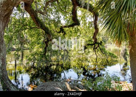 New Orleans City Park Stockfoto