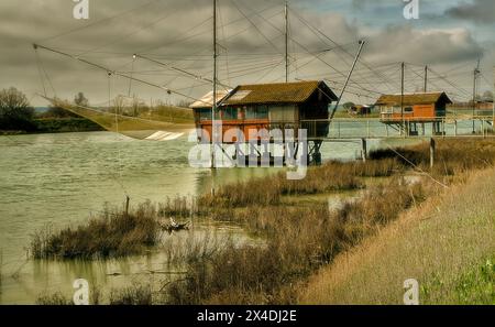 Das Naturschutzgebiet in der Nähe von Lido di Dante (Bassona). Sehr malerisch mit seinen Kiefern und Sumpfwasser Stockfoto