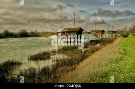 Das Naturschutzgebiet in der Nähe von Lido di Dante (Bassona). Sehr malerisch mit seinen Kiefern und Sumpfwasser Stockfoto