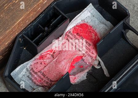 Offene Maus-Köderstation, die Spuren des Knabberns auf dem Beutel mit Brodifacoum-Rodentizid zeigt, giftige Paste als Gift, um Mäuse im Haus und um das Haus zu vernichten Stockfoto