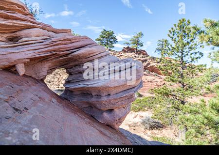 Antike Sedimentgesteine, die durch Zeit und Wetter zu einzigartigen Skulpturen erodiert wurden, die die Landschaft im Gebiet der Kolob Terrace im Zion-Nationalpark, U, schmücken Stockfoto