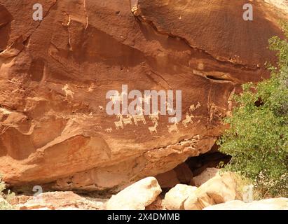 Petroglyphen entlang des Delicate Arch Trail im Arches National Park, Utah Stockfoto