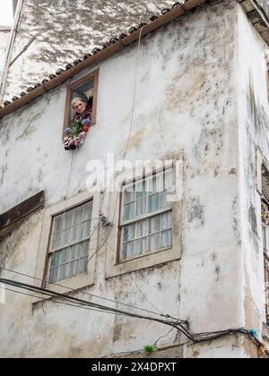 Portugiesische Frau, die aus ihrem Fenster im historischen Viertel Coimbra schaut. (Nur Für Redaktionelle Zwecke) Stockfoto