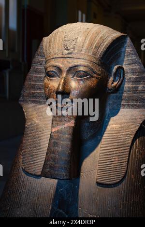 Geschnitzte Büste der Sphinx der Hatschepsut, Kairoer Antikenmuseum. Ägypten Stockfoto