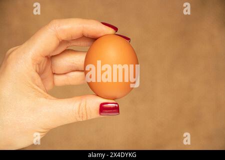 Braunes Hühnerei in der Hand eines Mädchens auf braunem Hintergrund Nahaufnahme Stockfoto