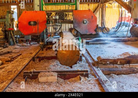 Rumänien, Siebenbürgen, Suceava. Weichholz-Sägewerk und Arbeiter. (Nur Redaktionelle Verwendung) Nur Redaktionelle Verwendung Stockfoto