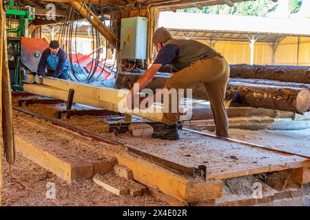 Rumänien, Siebenbürgen, Suceava. Weichholz-Sägewerk und Arbeiter. (Nur Redaktionelle Verwendung) Nur Redaktionelle Verwendung Stockfoto