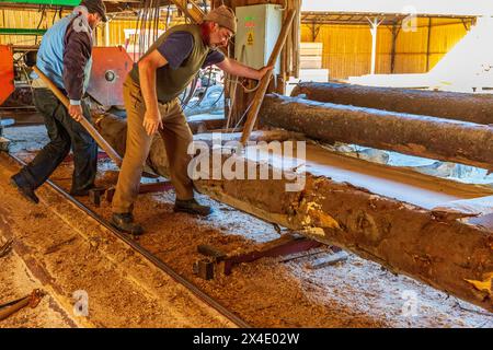 Rumänien, Siebenbürgen, Suceava. Weichholz-Sägewerk und Arbeiter. (Nur Für Redaktionelle Zwecke) Stockfoto