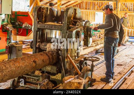 Rumänien, Siebenbürgen, Suceava. Weichholz-Sägewerk und Arbeiter. (Nur Für Redaktionelle Zwecke) Stockfoto