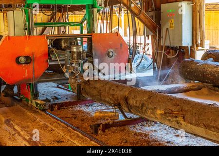 Rumänien, Siebenbürgen, Suceava. Weichholz-Sägewerk und Arbeiter. (Nur Redaktionelle Verwendung) Nur Redaktionelle Verwendung Stockfoto