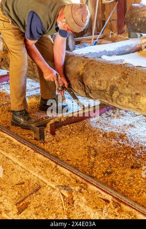 Rumänien, Siebenbürgen, Suceava. Weichholz-Sägewerk und Arbeiter. (Nur Redaktionelle Verwendung) Nur Redaktionelle Verwendung Stockfoto