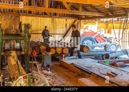 Rumänien, Siebenbürgen, Suceava. Weichholz-Sägewerk und Arbeiter. (Nur Für Redaktionelle Zwecke) Stockfoto