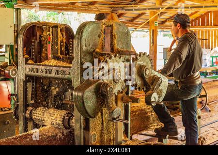 Rumänien, Siebenbürgen, Suceava. Weichholz-Sägewerk und Arbeiter. (Nur Redaktionelle Verwendung) Nur Redaktionelle Verwendung Stockfoto