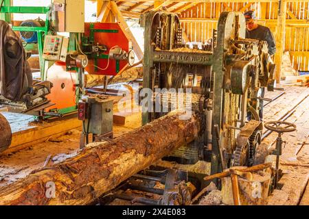 Rumänien, Siebenbürgen, Suceava. Weichholz-Sägewerk und Arbeiter. (Nur Redaktionelle Verwendung) Nur Redaktionelle Verwendung Stockfoto