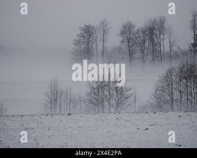 Ansicht eines Nebelfeldes im Winter Stockfoto