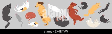 Niedliche Schlaftiere mit Blick von oben mit Katzen und Hunden Stock Vektor
