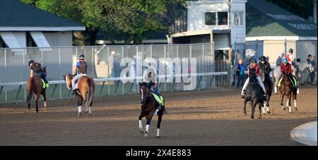 Louisville, Usa. Mai 2024. Die Pferde sind auf der Rennstrecke, während sie sich auf den 150. Lauf der Kentucky Oaks in Churchill Downs am Donnerstag, den 2. Mai 2024 in Louisville, Kentucky, vorbereiten. Foto von John Sommers II/UPI Credit: UPI/Alamy Live News Stockfoto