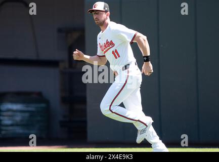 Baltimore, USA. Mai 2024. BALTIMORE, MD - 02. MAI: Baltimore Orioles dritte Basis Jordan Westburg (11) wärmt sich vor einem MLB-Spiel zwischen den Baltimore Orioles und den New York Yankees am 2. Mai 2024 im Orioles Park at Camden Yards in Baltimore, Maryland auf. (Foto: Tony Quinn/SipaUSA) Credit: SIPA USA/Alamy Live News Stockfoto