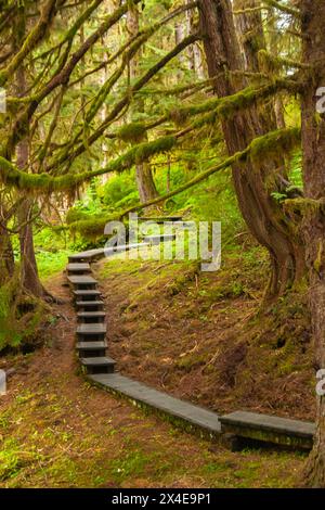 USA, Alaska, Tongass National Forest. Anan Creek Trail mit Holzsteg. Stockfoto