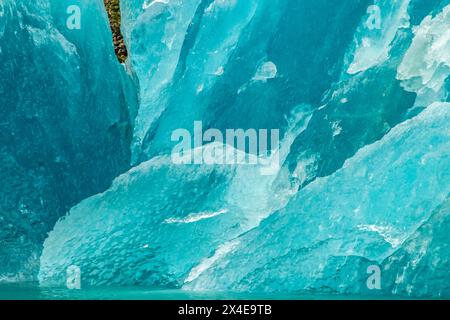 USA, Alaska, Glacier Bay National Park. Eisberge vom McBride-Gletscher. Stockfoto